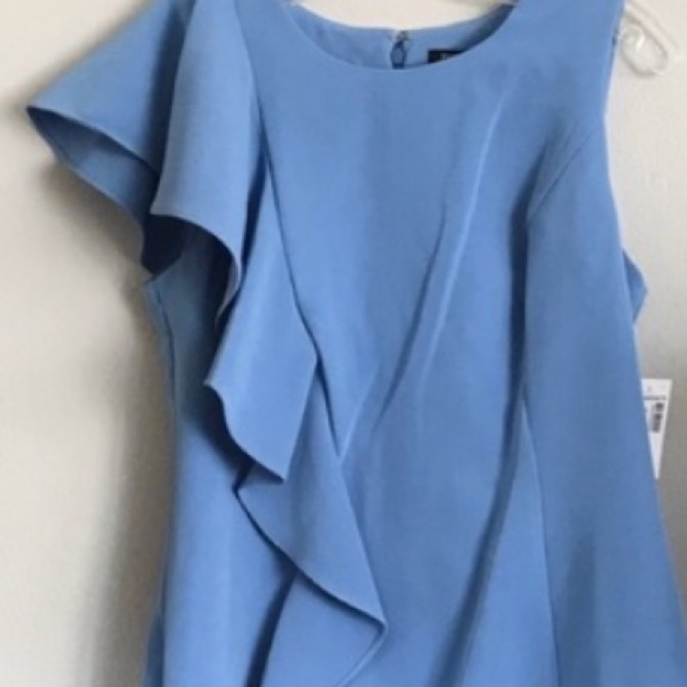 Baby Blue Ruffel Dress - Picture 3 of 3